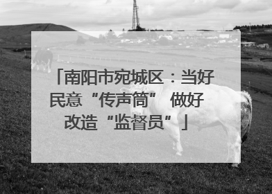 南阳市宛城区：当好民意“传声筒” 做好改造“监督员”
