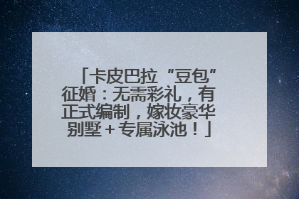 卡皮巴拉“豆包”征婚：无需彩礼，有正式编制，嫁妆豪华别墅＋专属泳池！