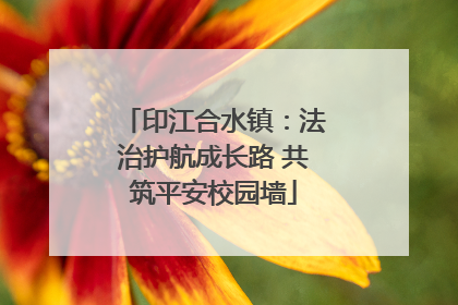 印江合水镇：法治护航成长路 共筑平安校园墙