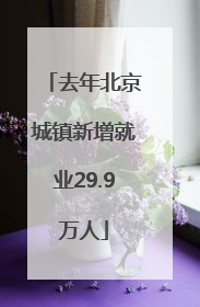去年北京城镇新增就业29.9万人