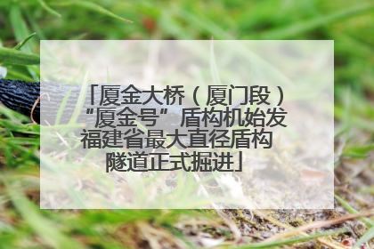 厦金大桥（厦门段）“厦金号”盾构机始发 福建省最大直径盾构隧道正式掘进
