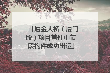 厦金大桥（厦门段）项目首件中节段构件成功出运