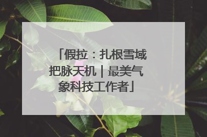 假拉：扎根雪域把脉天机｜最美气象科技工作者