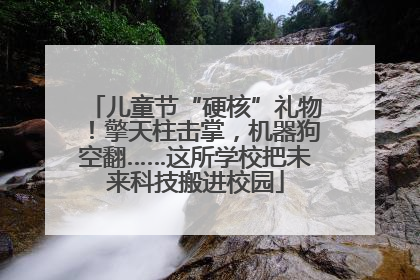 儿童节“硬核”礼物！擎天柱击掌，机器狗空翻……这所学校把未来科技搬进校园