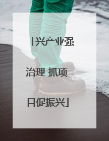 兴产业强治理 抓项目促振兴