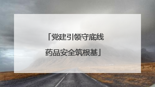 党建引领守底线 药品安全筑根基