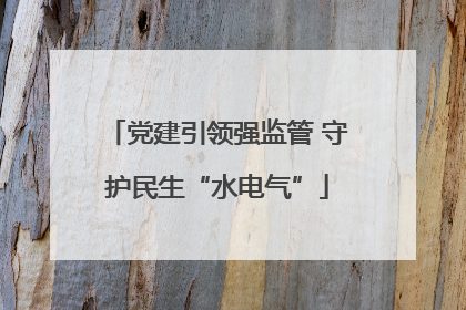 党建引领强监管 守护民生“水电气”