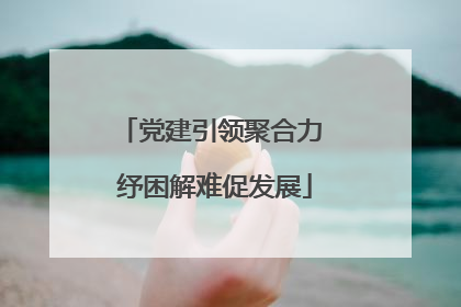 党建引领聚合力 纾困解难促发展