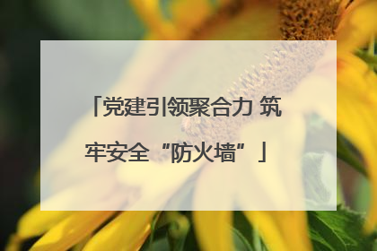 党建引领聚合力 筑牢安全“防火墙”