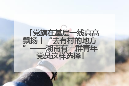 党旗在基层一线高高飘扬丨“去有村的地方”——湖南有一群青年党员这样选择