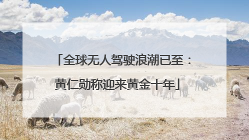 全球无人驾驶浪潮已至：黄仁勋称迎来黄金十年