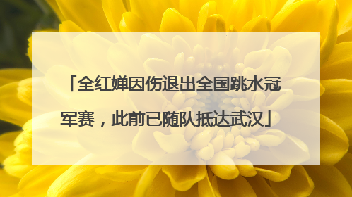 全红婵因伤退出全国跳水冠军赛，此前已随队抵达武汉