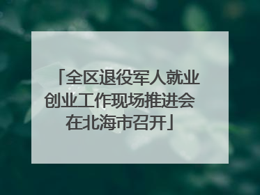 全区退役军人就业创业工作现场推进会在北海市召开