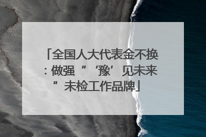 全国人大代表金不换：做强“‘豫’见未来”未检工作品牌