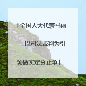 全国人大代表马丽——以司法裁判为引领做实定分止争