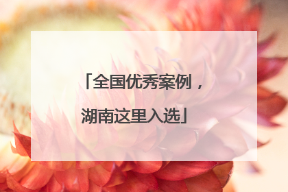 全国优秀案例，湖南这里入选