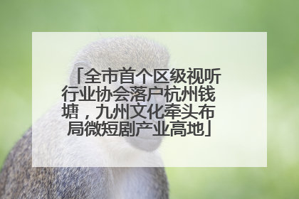 全市首个区级视听行业协会落户杭州钱塘，九州文化牵头布局微短剧产业高地
