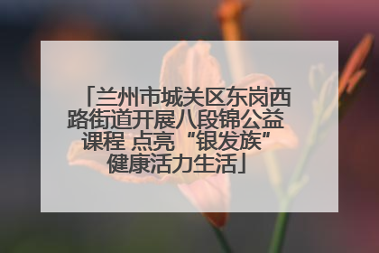 兰州市城关区东岗西路街道开展八段锦公益课程 点亮“银发族”健康活力生活