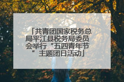 共青团国家税务总局平江县税务局委员会举行“五四青年节”主题团日活动