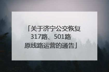 关于济宁公交恢复317路、501路原线路运营的通告