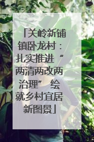 关岭新铺镇卧龙村：扎实推进“两清两改两治理” 绘就乡村宜居新图景