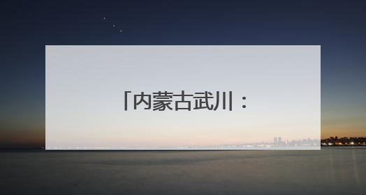 内蒙古武川：联合综治中心开展培训活动