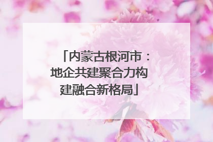 内蒙古根河市：地企共建聚合力构建融合新格局