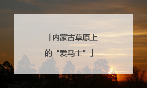 内蒙古草原上的“爱马士”