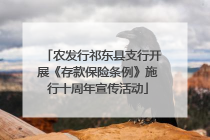 农发行祁东县支行开展《存款保险条例》施行十周年宣传活动