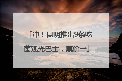 冲！昆明推出9条吃菌观光巴士，票价→