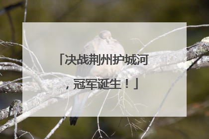 决战荆州护城河，冠军诞生！