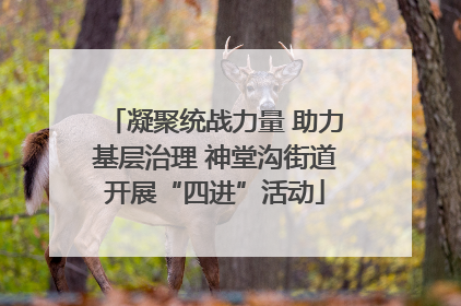 凝聚统战力量 助力基层治理 神堂沟街道开展“四进”活动
