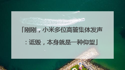 刚刚，小米多位高管集体发声：诋毁，本身就是一种仰望