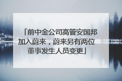 前中金公司高管安国邦加入蔚来，蔚来另有两位董事发生人员变更