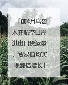 前4月乌鲁木齐航空口岸进出口货运量、贸易值均实现翻倍增长