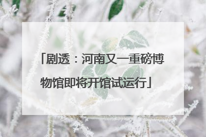 剧透：河南又一重磅博物馆即将开馆试运行