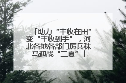 助力“丰收在田”变“丰收到手”，河北各地各部门厉兵秣马迎战“三夏”
