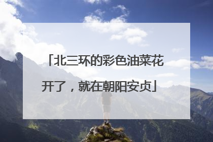 北三环的彩色油菜花开了，就在朝阳安贞