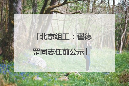 北京组工：翟德罡同志任前公示