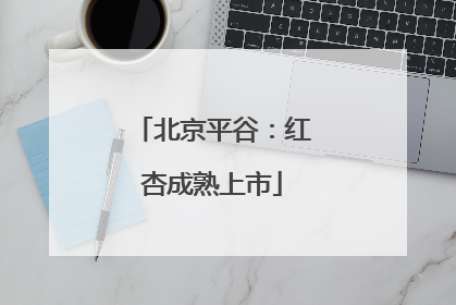 北京平谷：红杏成熟上市