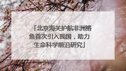 北京海关护航非洲鳉鱼首次引入我国，助力生命科学前沿研究