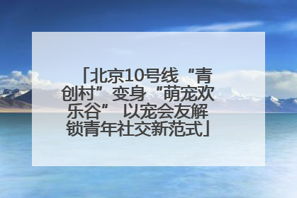 北京10号线“青创村”变身“萌宠欢乐谷” 以宠会友解锁青年社交新范式