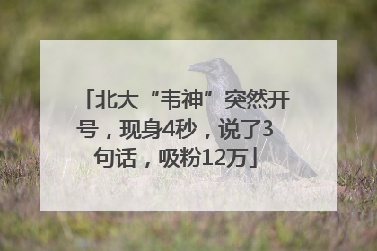北大“韦神”突然开号，现身4秒，说了3句话，吸粉12万