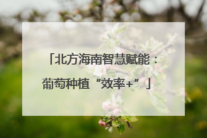 北方海南智慧赋能：葡萄种植“效率+”