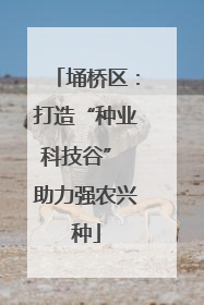 埇桥区：打造“种业科技谷” 助力强农兴种