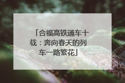 合福高铁通车十载：奔向春天的列车一路繁花
