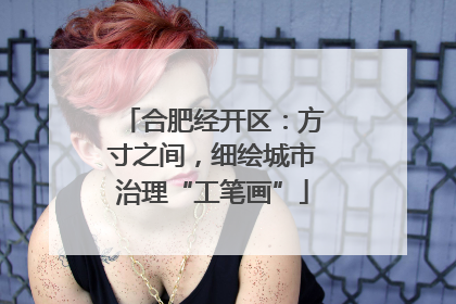 合肥经开区：方寸之间，细绘城市治理“工笔画”