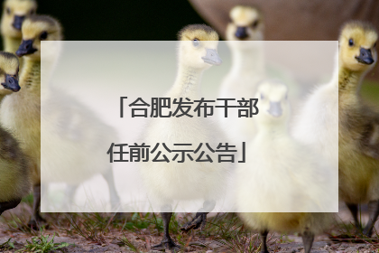 合肥发布干部任前公示公告