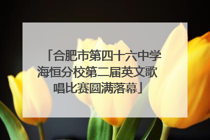 合肥市第四十六中学海恒分校第二届英文歌唱比赛圆满落幕
