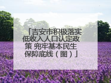 吉安市积极落实低收入人口认定政策 兜牢基本民生保障底线（图）